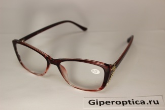 Готовые очки Ralph R 0653 с1